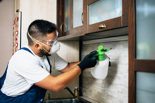 Best Pest Control Near Me  in Rupert, WV