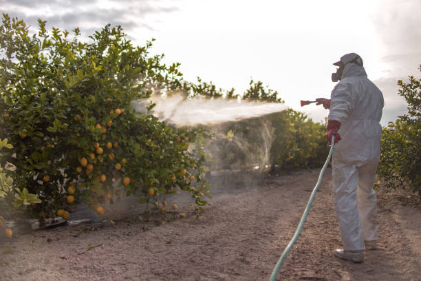 Best Cockroach Control Services  in Rupert, WV