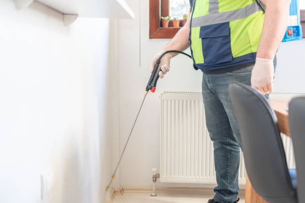 Best Affordable Pest Control Services  in Rupert, WV